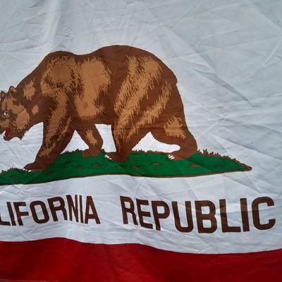 3'x5' California Republic Flag