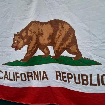 3'x5' California Republic Flag