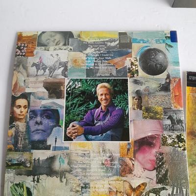 Three Marty Robins Vinyl LP 12" Record Albums in great condition!