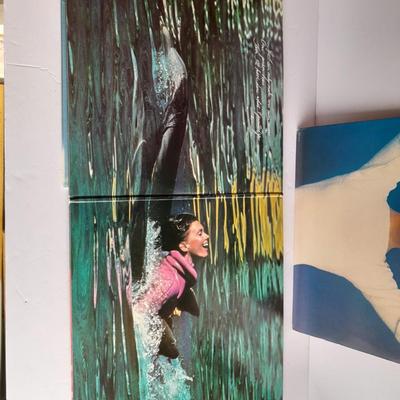 Three Olivia Newton John Vinyl LP 12" Record Albums in great condition!