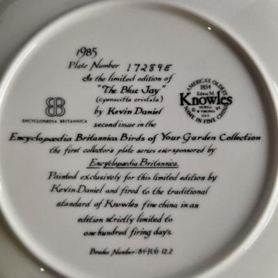 Hand Carved Peruvian Folk Art Dried Gourd Decorative Handmade Bird And "The Blue Jay" Plate with COA