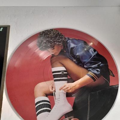 Limited Edition Linda Ronstadt Living in the USA Picture Disc Lp 12" Vinyl Record 1978