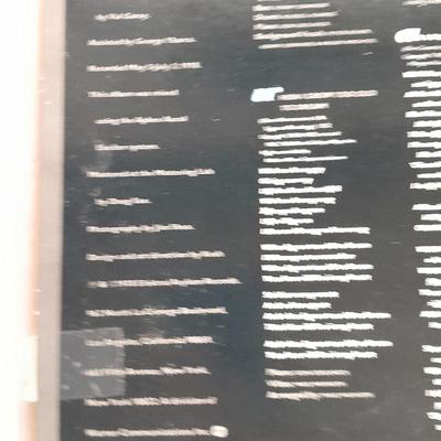 Limited Edition Linda Ronstadt Living in the USA Picture Disc Lp 12" Vinyl Record 1978