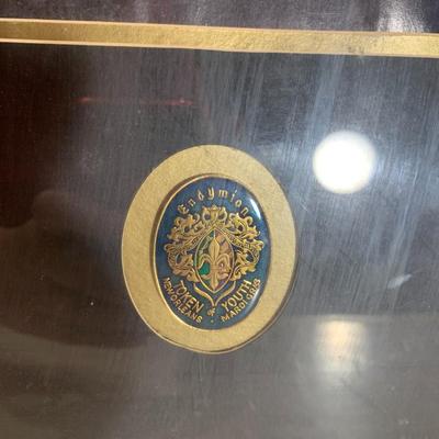 Endymion Extravaganza Framed Poster with Tokens of Youth Mardi Gras