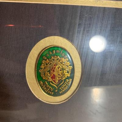 Endymion Extravaganza Framed Poster with Tokens of Youth Mardi Gras