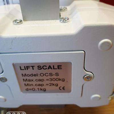 Patient Lift Scale