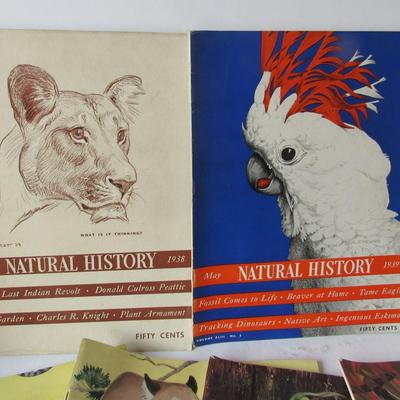 Vintage Natural History Magazines, 1938-1940