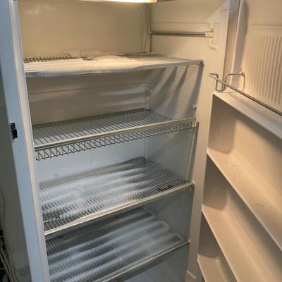 Frigidaire Freezer (Works Great) in garage.
