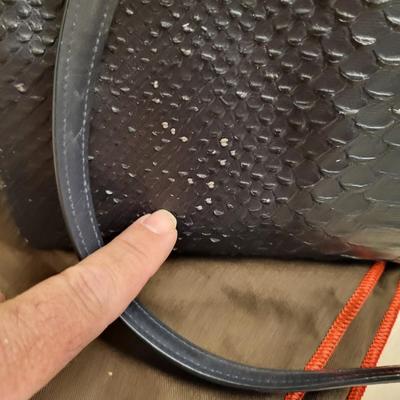 Authentic Coach Purse with Bag