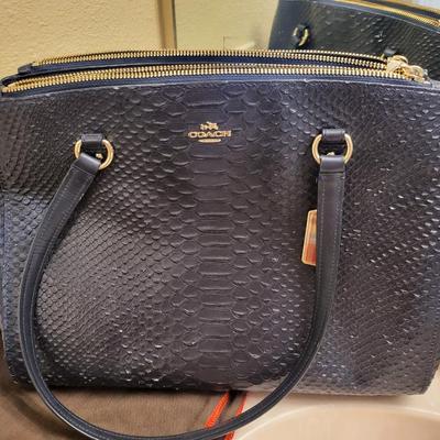 Authentic Coach Purse with Bag