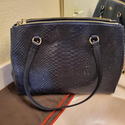 Authentic Coach Purse with Bag