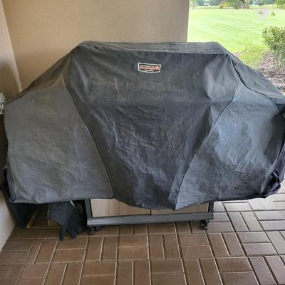 Broil King Baron Propane Gas Grill