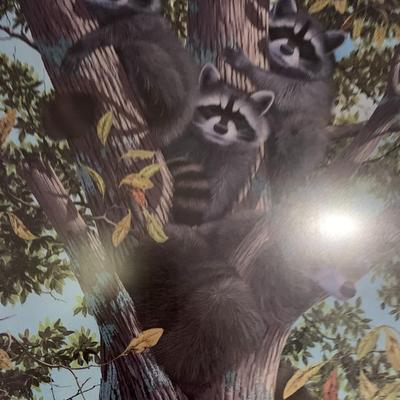 Raccoon Family Picture Signed and Numbered Josh Aker "Family Tree"