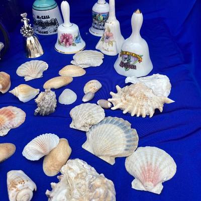 SHELLS AND BELLS