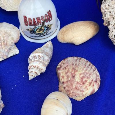 SHELLS AND BELLS