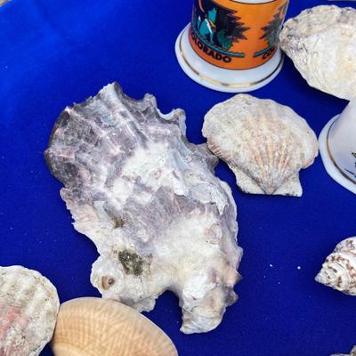 SHELLS AND BELLS