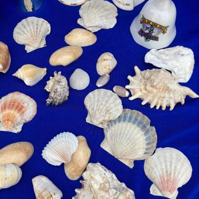 SHELLS AND BELLS