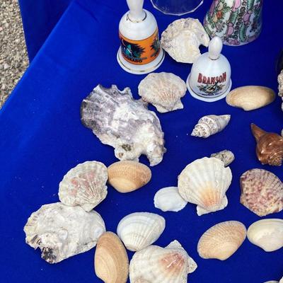 SHELLS AND BELLS