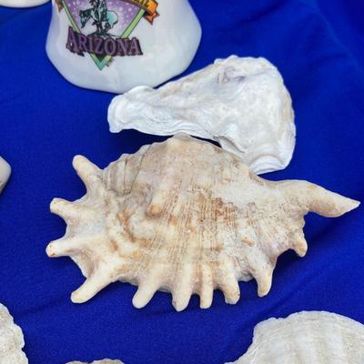 SHELLS AND BELLS