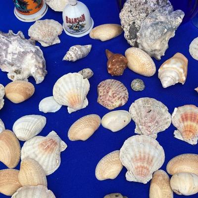 SHELLS AND BELLS