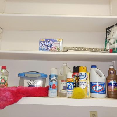 VARIETY OF CLEANING SUPPLIES