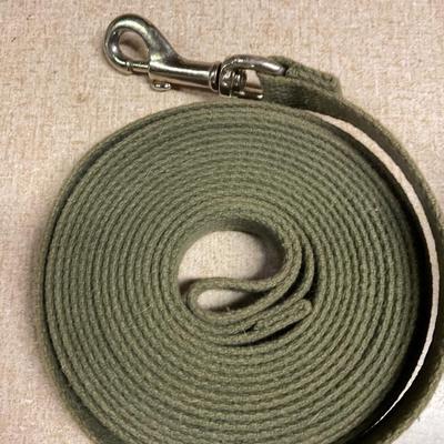 Retracting Clothes Line and Dog Training Strap.
