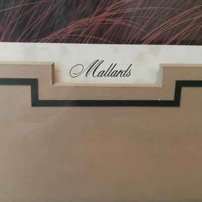 "Mallards" signed & numbered Lithograph by John Akers
