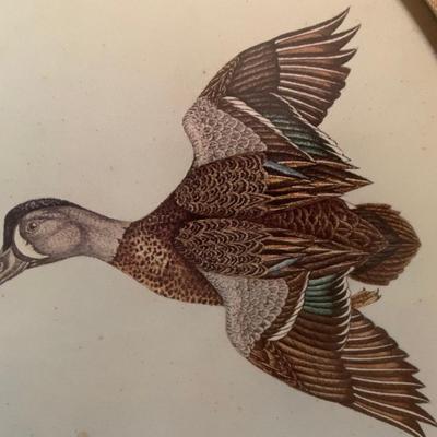E Culbertson Duck Print