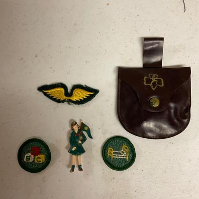 Girl Scout/ Brownie Wings