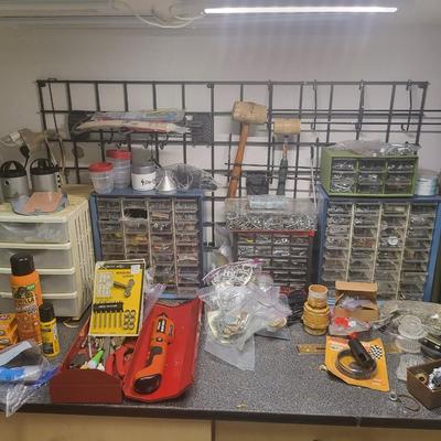 Complete Garage Cabinet Contents Lot