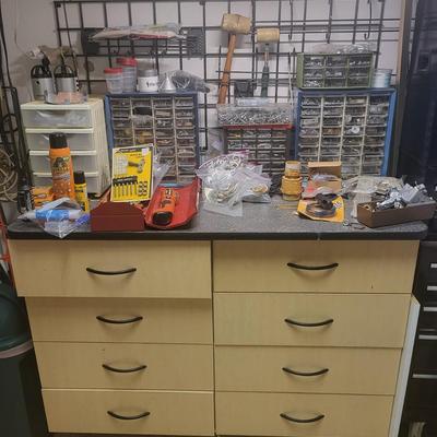 Complete Garage Cabinet Contents Lot