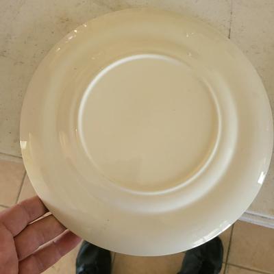Large Pink Plate Lot