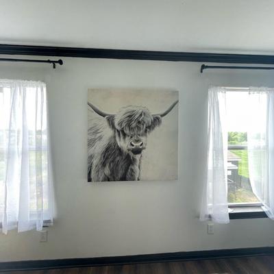 Large Highland Cow Canvas