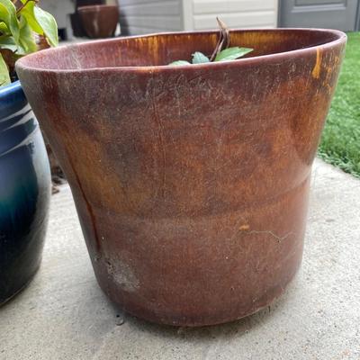 Pair of Ceramic Planter Pots One with Live Plant
