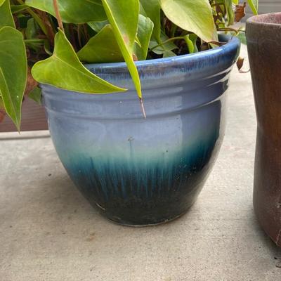 Pair of Ceramic Planter Pots One with Live Plant