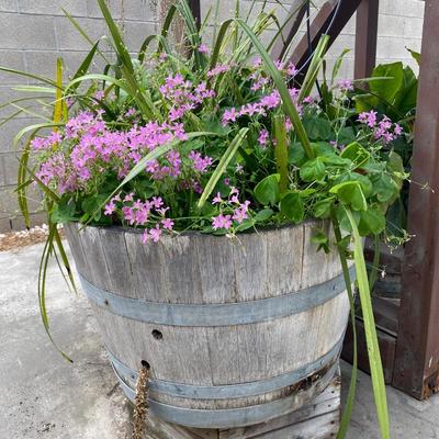 Wood Whiskey Half Barrel Planter with Live Plants