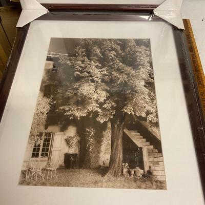 New Framed Prints