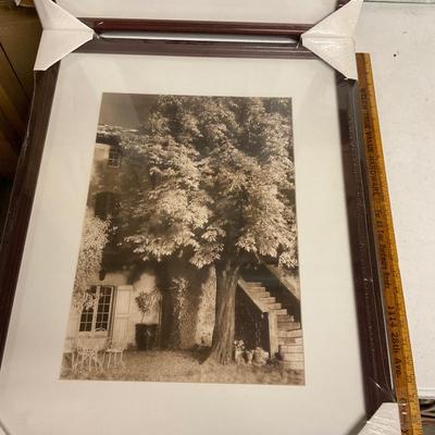 New Framed Prints