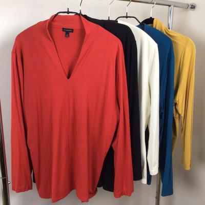 093 Talbots V Neck Top Lot XL