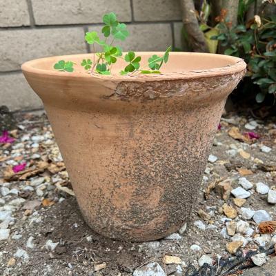 Small Rustic Pottery Clay Flower Pot