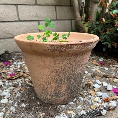 Small Rustic Pottery Clay Flower Pot