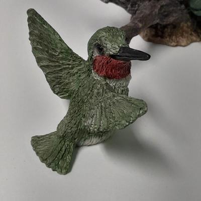 Hummingbird collection