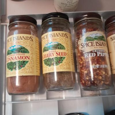 Plastic drawered Spice organizer with glass bottles of Spices