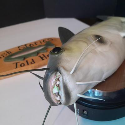 Gemmy Industries Talking singing catfish with Fish stories told here decorative wall oar
