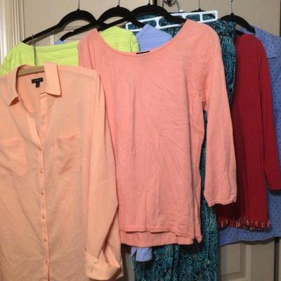 096 Talbots Spring Lot XL/16