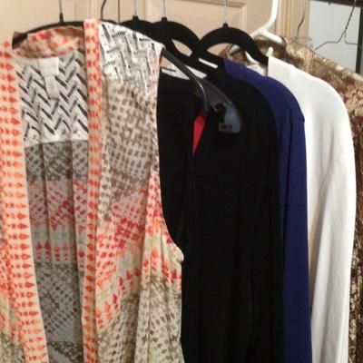 098 Chicoâ€™s & Travelers Lot SZ 2