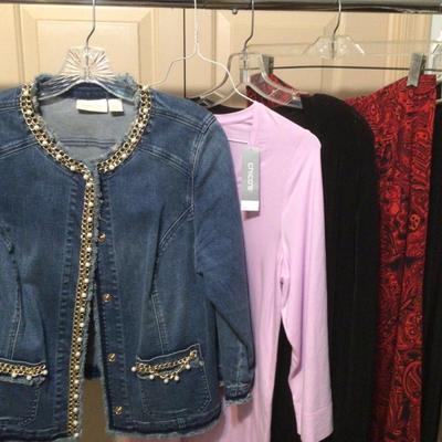 097 Chicoâ€™s Ladies Clothing Lot Size 0/1