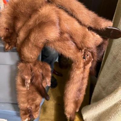 Real Mink or Fox Fur whole body Pelt Scarves Marked MACY's NY
