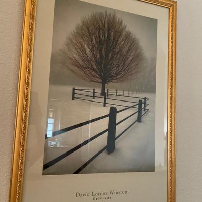 Framed Prints