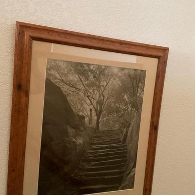 Framed Prints